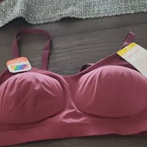 Warner's New Mauve Bra Medium